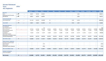 Gp007 Professional Income Statement 12 Months By Segment