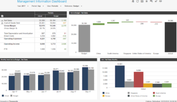 Management Information Example Dashboard