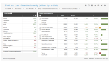 Profit Loss Selection By Entity Example Dashboard