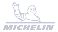 Michelin 200x110